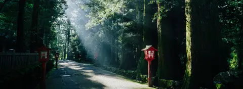 Balade à Hakone en pleine nature