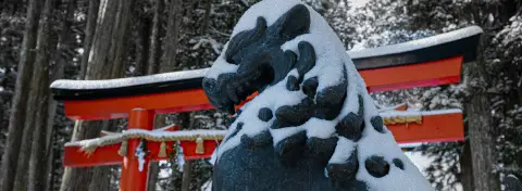 Visite de Tokyo sous la neige