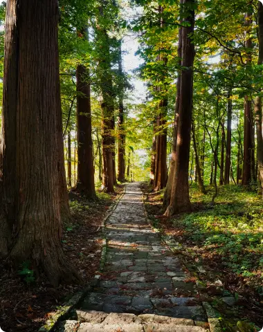 Circuit Japon au naturel : randonnées et balades en pleine nature