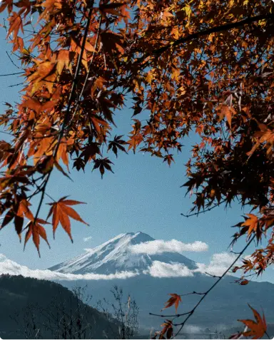 Vue du Mont Fuji en automne, image représentative du circuit L’Essentiel du Japon organisé par Caramage.
