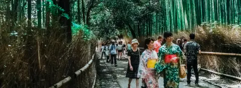 Chemin bordé de bambous à Arashiyama, Kyoto