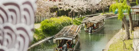 Canal bordé de cerisiers en fleurs à Kyoto au printemps