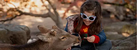 Voyage au Japon en famille : enfant nourrissant un daim lors d’une excursion optionnelle à Nara depuis Kyoto