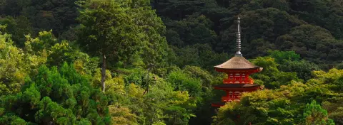 Temple et jardin à Kyoto, étape culturelle majeure d'un itinéraire proposé par Caramage