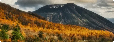 Forêts et montagnes de Nikko aux couleurs de l’automne, Japon hors des foules