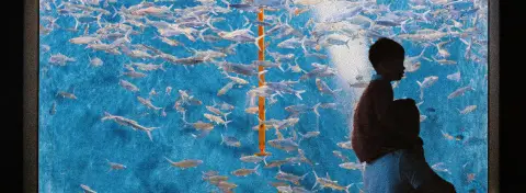 Voyage au Japon en famille : visite de l’aquarium d’Osaka avec enfants