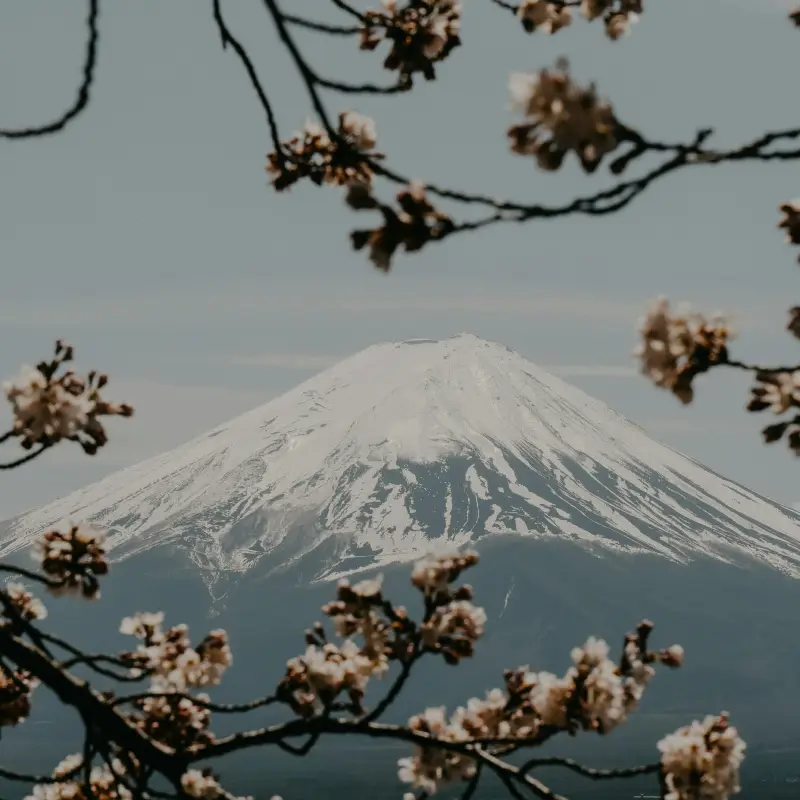 Nous vous donnons un ordre d'idée pour partir au Japon sereinement